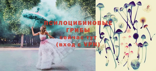 мет Магас