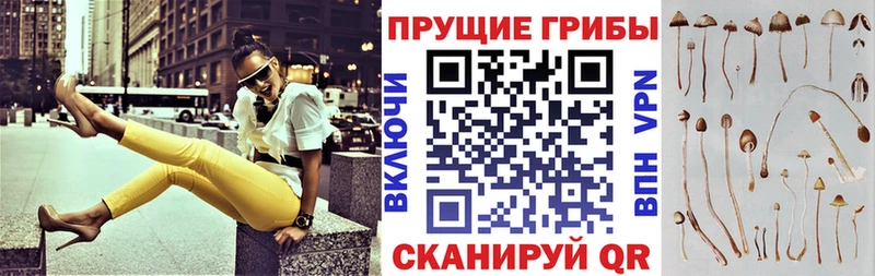 Псилоцибиновые грибы ЛСД Купить где Нытва